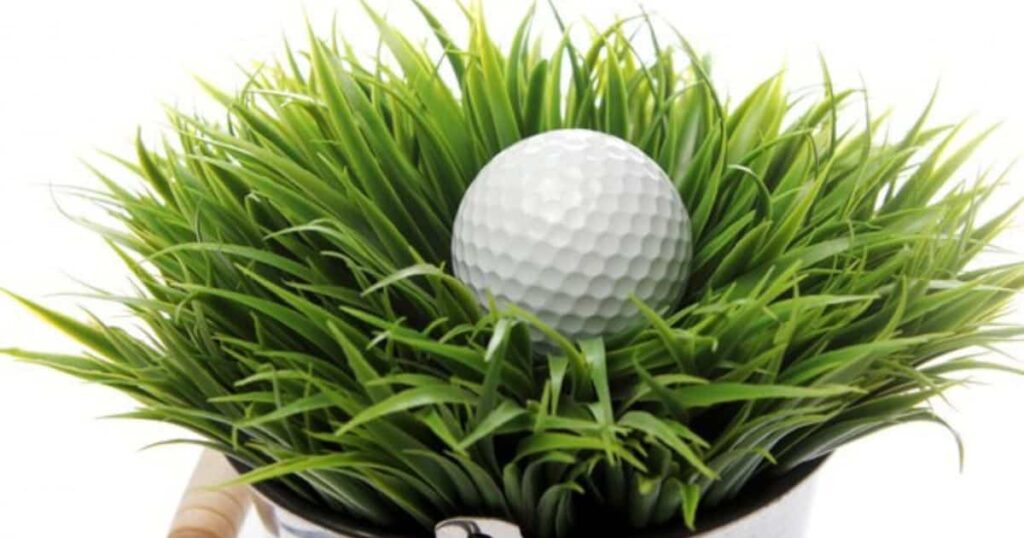 Environmental Benefits of Seed Golf Balls